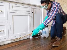 Best Pest Exclusion Services  in Morgantown, KY